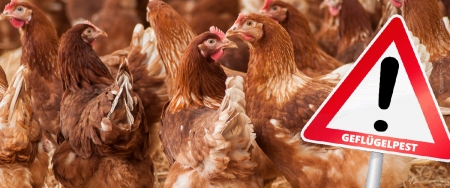 Die Überwachungszone, die am 18.10. per Allgemeinverfügung angeordnet wurde, wird mit Wirkung vom 17.11.2022 aufgehoben.